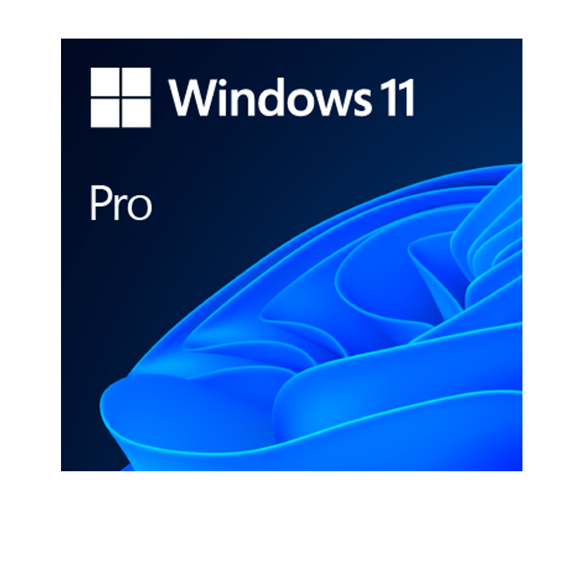Sistema Operativo Windows 11 PRO 64BIT SPANISH LATAM