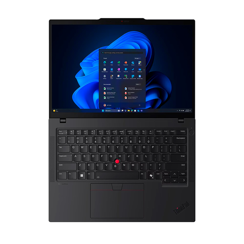 Vista 4