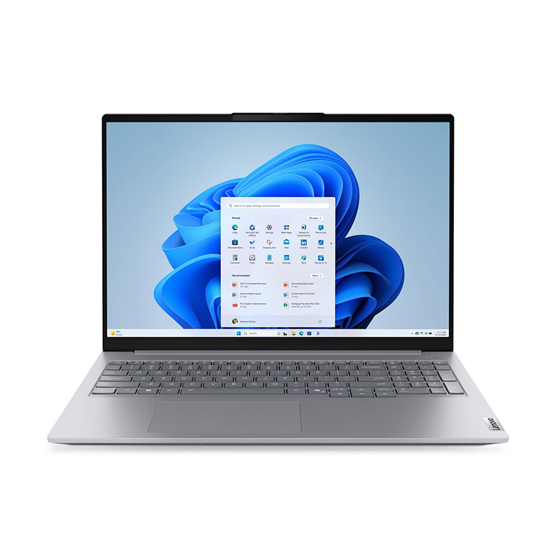 Vista 11