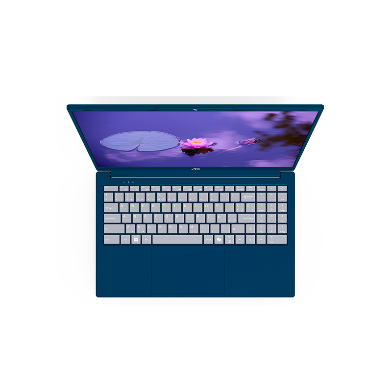 Vista 5